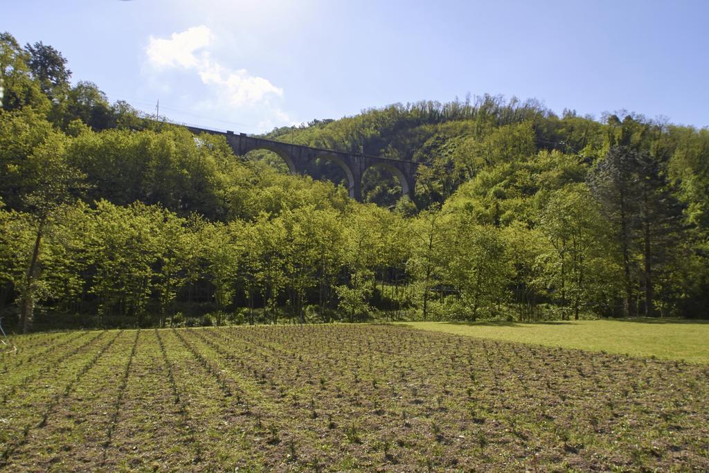 Podere Campofossato Pistoia Extérieur photo